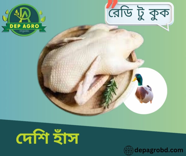 food ads (Facebook Post) (4) Deshi Duck (দেশী হাঁস) (১ পিচ ১-১.৫ কেজি হয়)